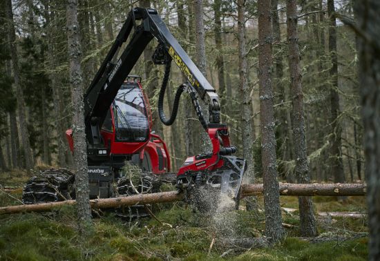A red harvesting machine cutting timber in a forest
