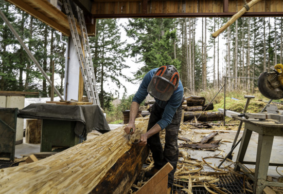Steep-ground trees used in log cabin build