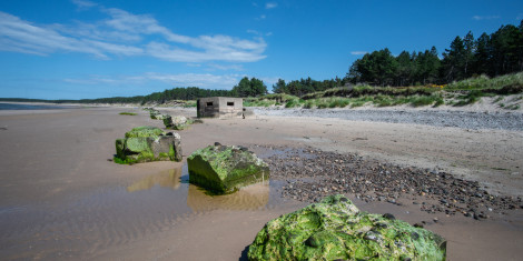 Wide sandy beach with scattered concrete formations and pill box beside grassy dunes and line of green trees under a bright blue sky.