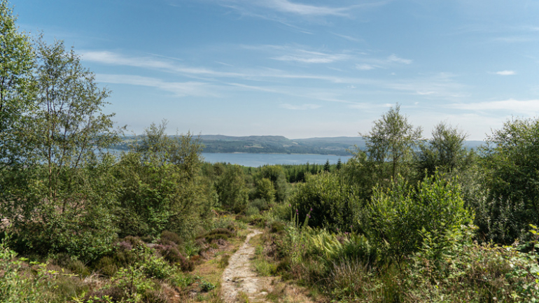 A rocky path down a hillside with trees and the sea in the distance
