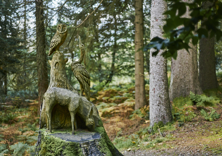 Wooden sculpture of owl, heron and deer, Kilmun Arboretum