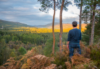 Man looking out over dense forest under a cloudy sky from a view point in bracken.
