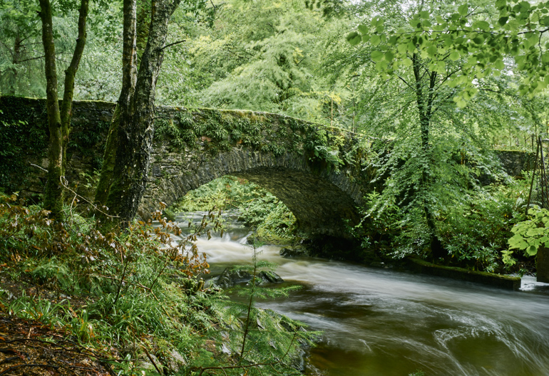 A stone bridge crosses a fast flowing woodland river