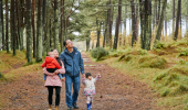 A family with a toddler and a baby look towards the treetops while walking along a woodland path