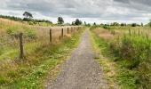 A gravel walking trail through a meadow