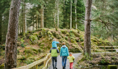  Man in green jacket carrying young girl in blue jacket on his shoulders walks alongside woman in blue jacket holding hands with young girl, on smooth woodland path with forest of tall trees beside, Faskally, near Pitlochry