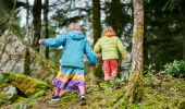 Rear view of two young girls, one in blue jacket, one in green, climbing up moss covered slope in forest, Faskally, near Pitlochry