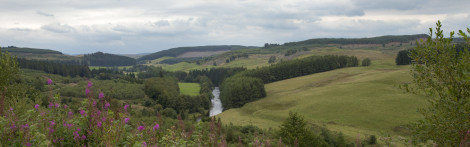 Landscape view over green fields and a river with pockets of tall conifer trees.