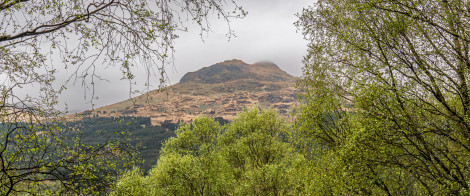 Landscape view over tree tops to open hillside with pointed peak under grey sky.