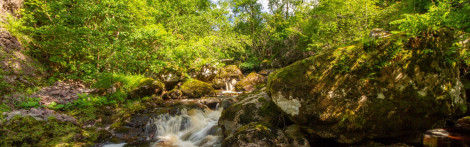 White water breaks on rocks in a fast flowing river surrounding by lush green trees and boulders at Farigaig