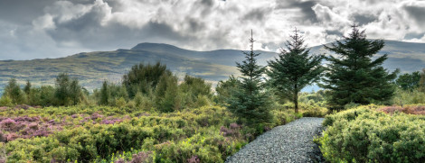A gravel path with heather and mountains behind 