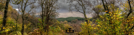 A picnic table on the hillside overlooking an autumn canopy 