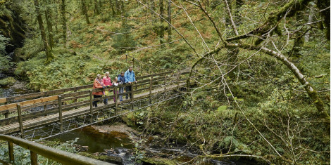 Family stand on wooden bridge spanning gorge overlooking a stream with wild trees and thick green undergrowth all around.