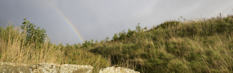 a rainbow over a meadow with rocks