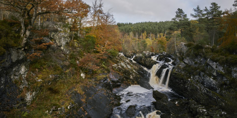 Waterfalls spill over ragged rocks amidst yellow and gold woodland, Rogie Falls, near Contin, Black Isle