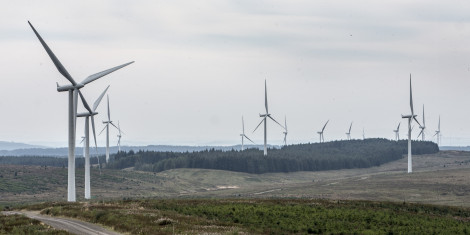 Photos of lots of windmills in a windfarm, with conifer trees amongst them as well as bare fields in the fore ground.