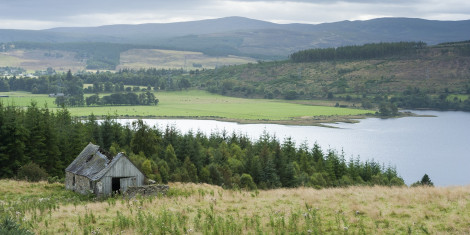 A dilapidated barn with a caved-in roof on a forested hillside overlooking a loch and fields