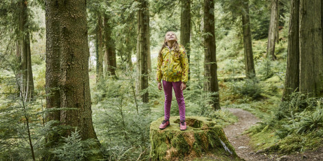 Young girl in pink leggings stands on top of moss covered tree stump on woodland trail, Benmore Forest, near Dunoon