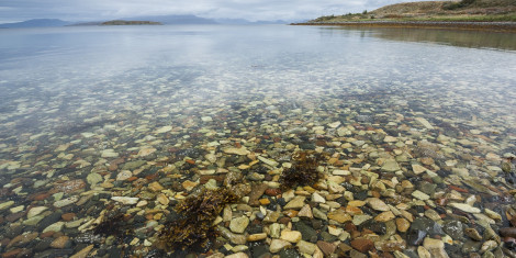 Clear water showing stones beneath