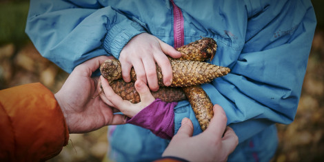 Child holding pinecones