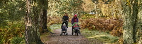  Two young women walking together pushing toddlers in buggies, look out at pond, on Loch Morlich trail, Glenmore Forest Park, near Aviemore