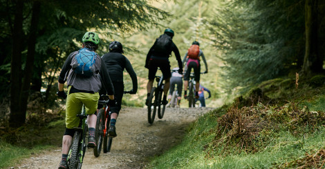 Mountain bikers riding in a line through forest at Ae