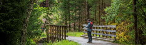 Male walker on bridge looks at map, Leanachan Forest, near Fort William