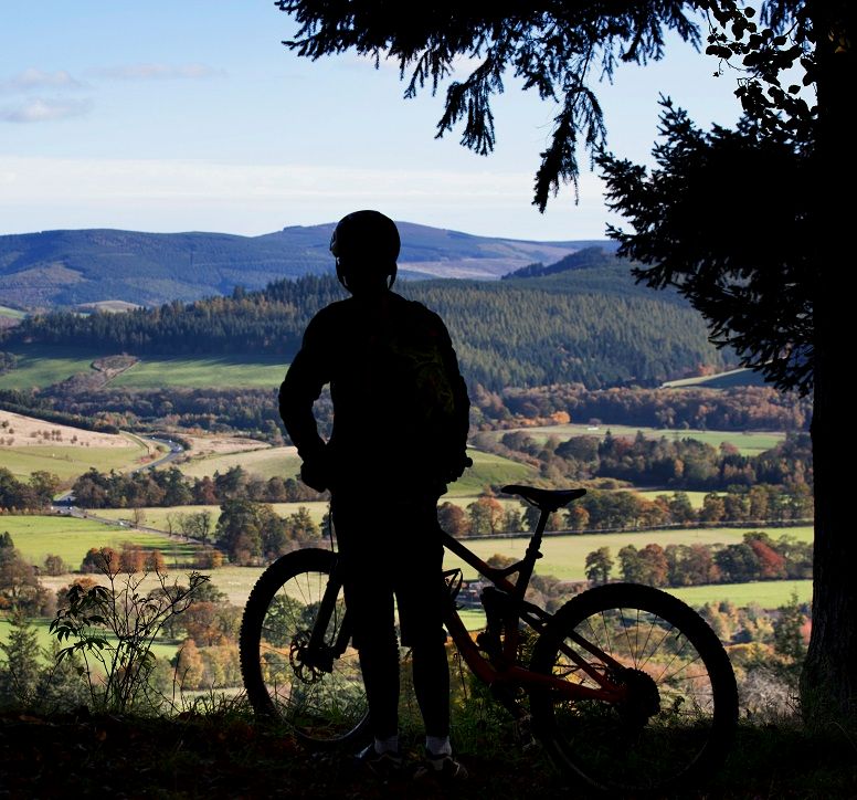 Sillhouette of a mountan biker gazing over the forests below Glentress