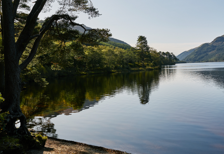 Calm waters of a loch will wooded hillside