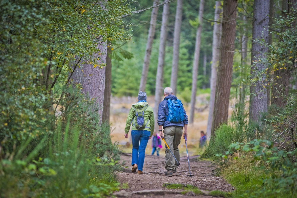 Two people walking on a woodland path