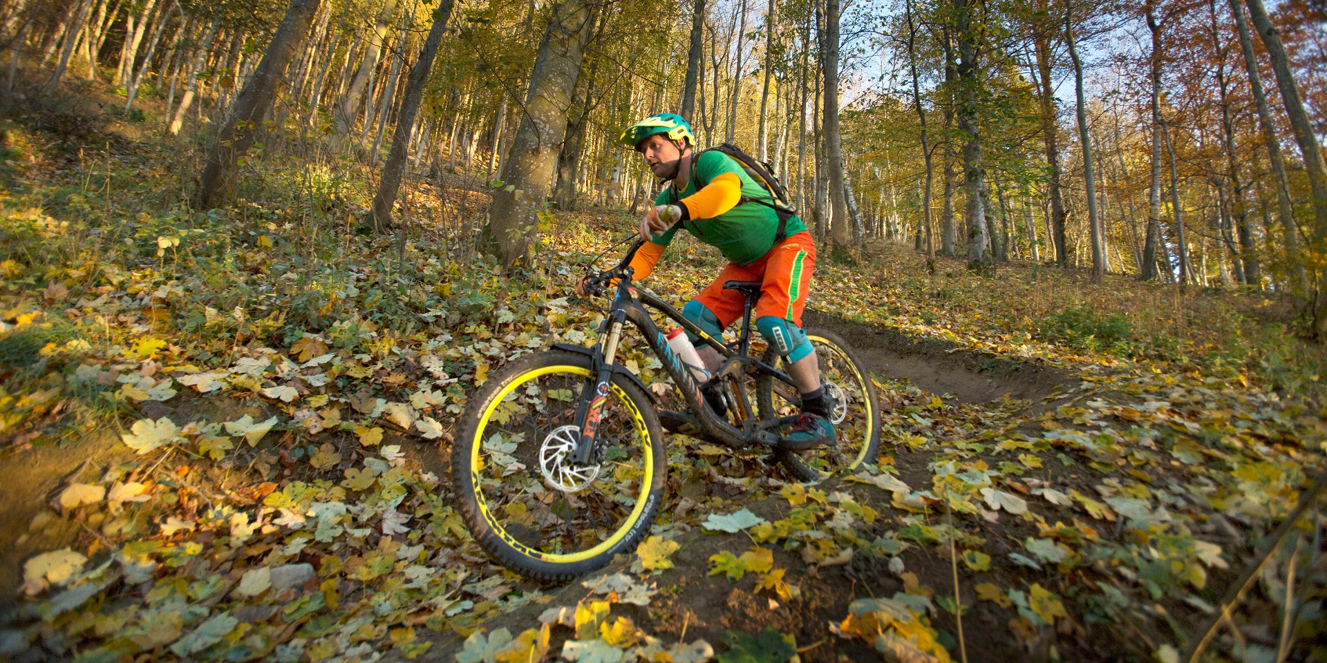 A cyclist rides through an autumn woodland