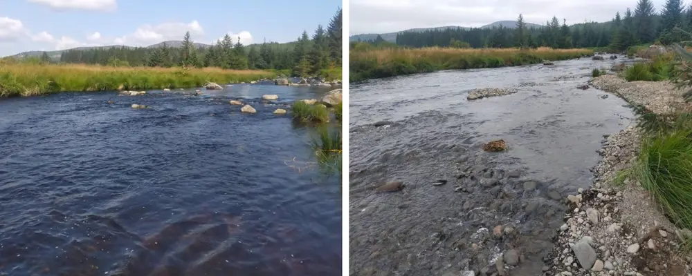 Before and after image of a riverbank during restoration