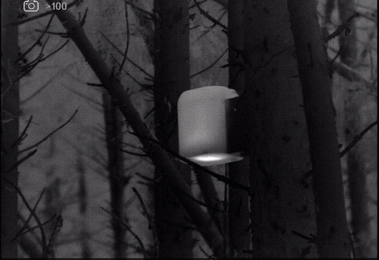 A black and white thermal image of a box in a tree