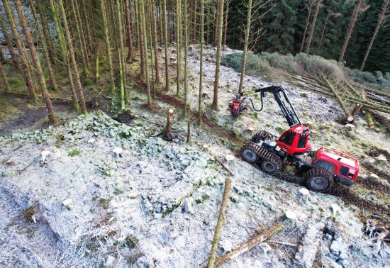 A red harvester cutting pine trees