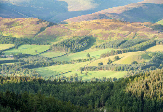 Aerial view of Glentress