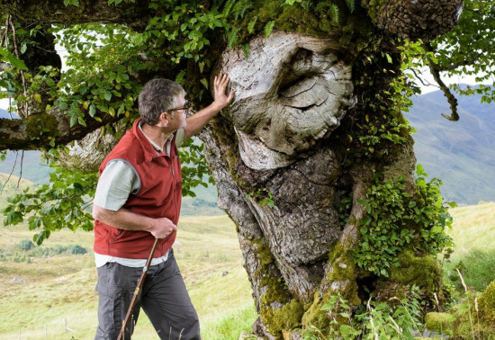 Man touching tree