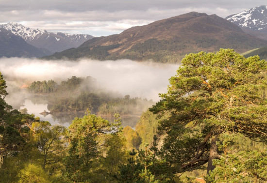 Mountains, trees, a loch and low clouds in Glen Affric