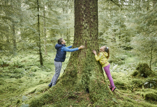 Children hugging a tree in the forest