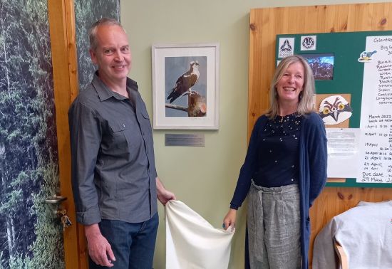 A painting of an osprey is unveiled by a man and a woman
