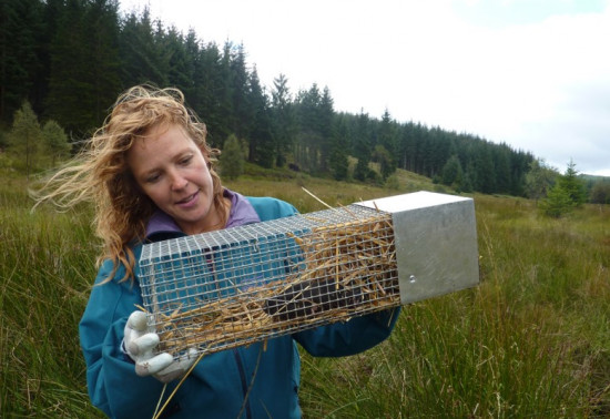 Woman holding a cage trap containing a watervole