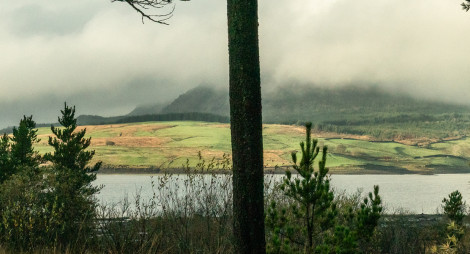 View over a loch through trees with a hillside on the otherside