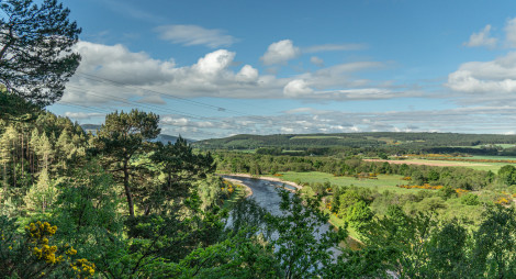 Viewpoint over a large river with a mixed forest in the foreground and fields and hills beyond the river