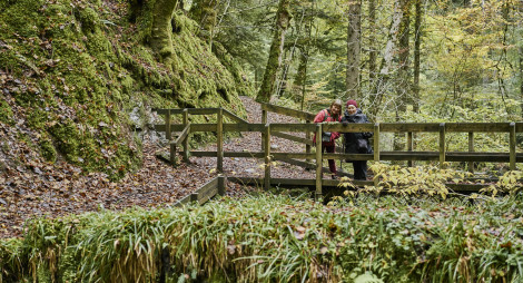 Two ladies stood on a leave-covered footpath with a wooden railing in a wet and green gorge with lots of trees.