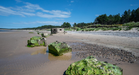 Wide sandy beach with scattered concrete formations and pill box beside grassy dunes and line of green trees under a bright blue sky.
