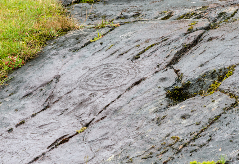 A rock face set admist moss and grass with prehistoric rock art sketching into the smooth stone