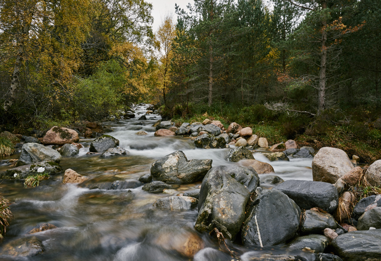Waters of Cas Burn flow over red and grey boulders, flanked by trees, Allt Mor, near Aviemore