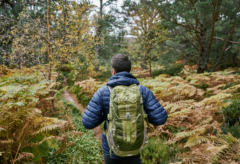 Rear view of male hiker with haversack walking along path of golden bracken and trees, Allt Mor, near Aviemore