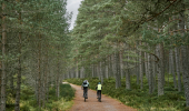 Two cyclists ride along tree lined track, Allt Mor, near Aviemore