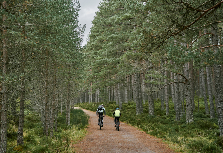 Two cyclists ride along tree lined track, Allt Mor, near Aviemore