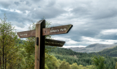 a wooden forest sign overlooking a loch 